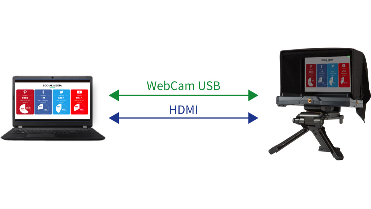 Online Presentations / Webinars