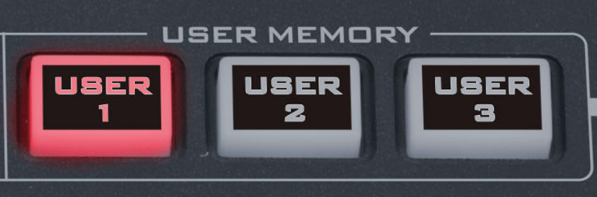 User memories